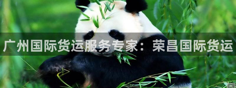尊龙官网网站