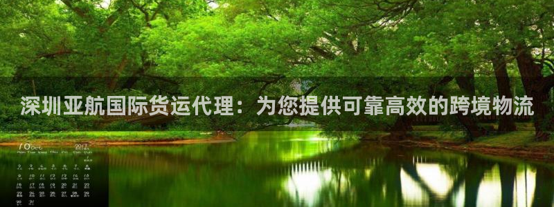 尊龙官网网页版：深圳亚航国际货运代理：为您提供可靠高效的