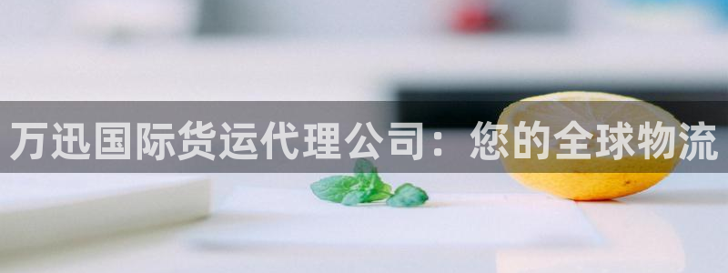 尊龙凯时 - 人生就是搏!提款怎么样：万迅国际货运代理公