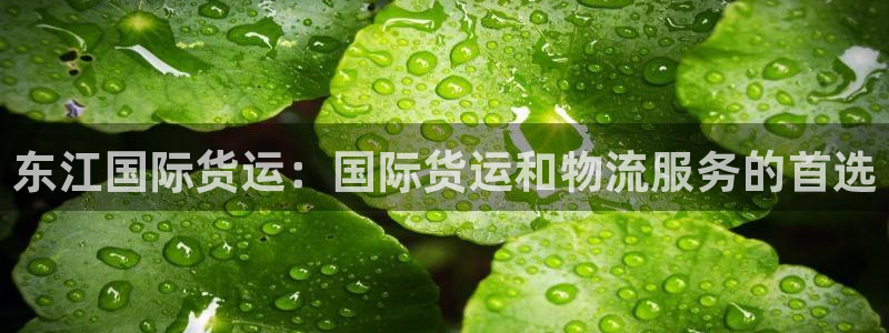 尊龙官方：东江国际货运：国际货运和物流服务的首选