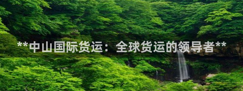 尊龙负面新闻：**中山国际货运：全球货运的领导者**