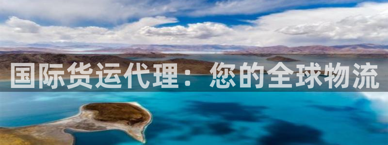尊龙贴吧：国际货运代理：您的全球物流
