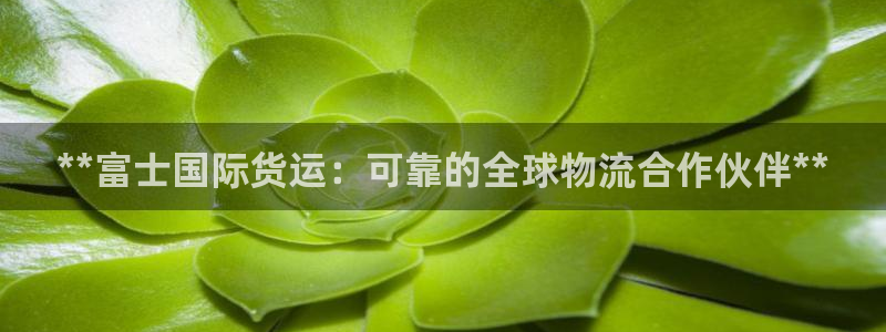尊龙人生就是-首页：**富士国际货运：可靠的全球物流合作
