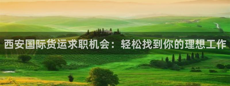 尊龙最新版：西安国际货运求职机会：轻松找到你的理想工作