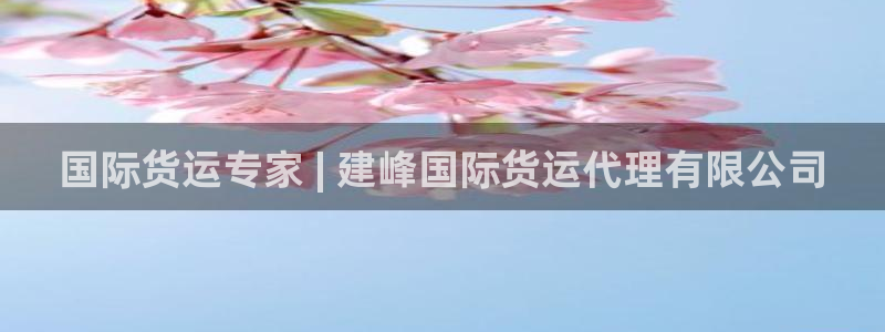 尊龙凯时返现：国际货运专家 | 建峰国际货运代理有限公司