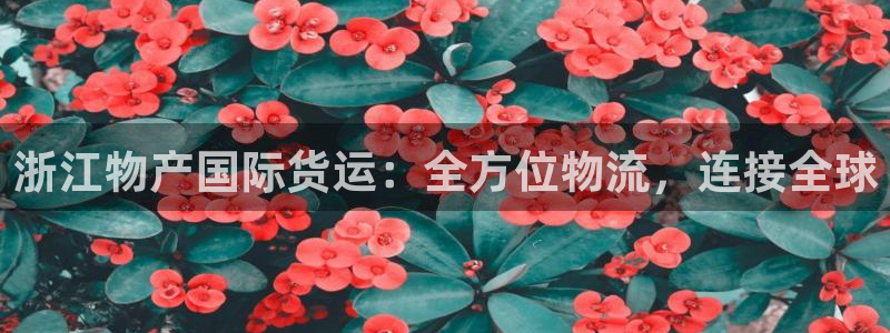 尊龙app最新版本官网：浙江物产国际货运：全方位物流，连