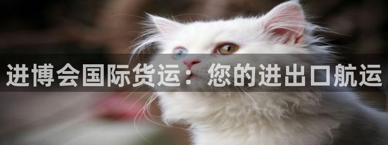 尊龙人生就是博i可靠吗：进博会国际货运：您的进出口航运