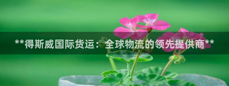 尊龙d88手机版下载：**得斯威国际货运：全球物流的领先