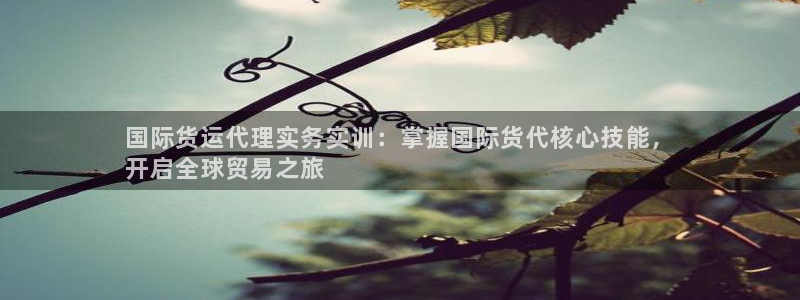 尊龙凯时人生就是博·(中国)官网最新：国际货运代理实务实
