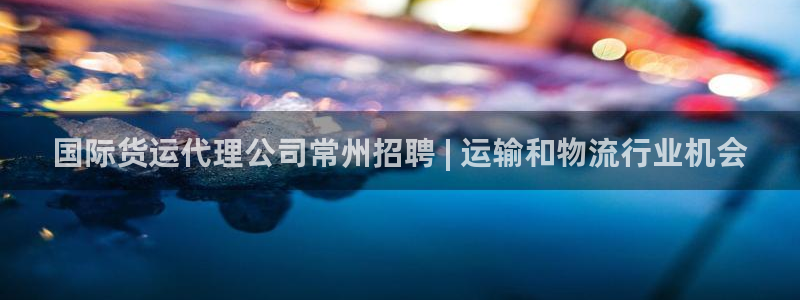 尊龙凯时产品种类：国际货运代理公司常州招聘 | 运输和物