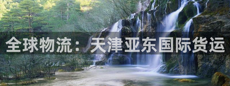 尊龙凯时平台信誉怎样：全球物流：天津亚东国际货运
