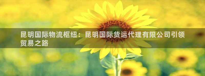 尊龙凯时网站首页手机登录：昆明国际物流枢纽：昆明国际货运