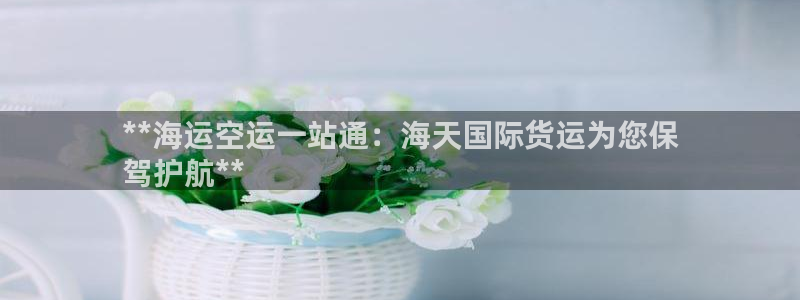 尊龙信息科技有限公司：**海运空运一站通：海天国际货运为