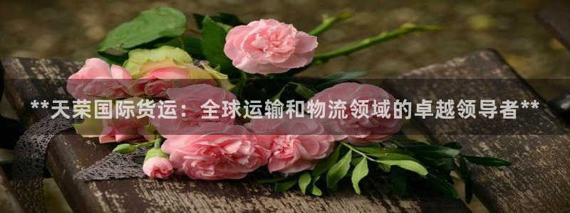 尊龙官方app下载：**天荣国际货运：全球运输和物流领域
