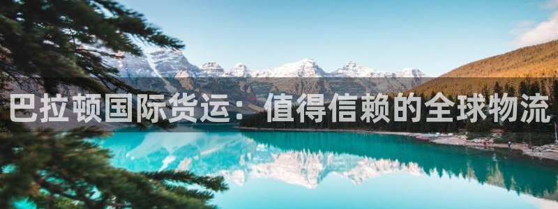 尊龙人生就是博官网登录手机：巴拉顿国际货运：值得信赖的全