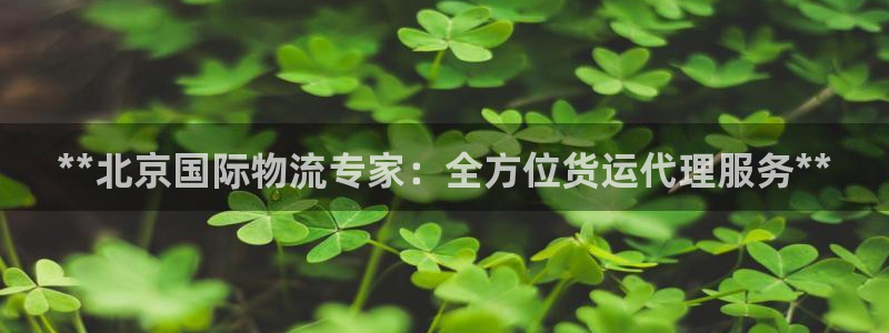 尊龙负面新闻：**北京国际物流专家：全方位货运代理服务*