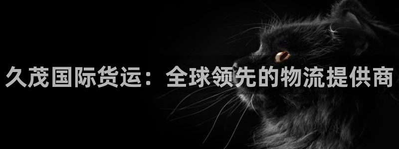 尊龙网页：久茂国际货运：全球领先的物流提供商