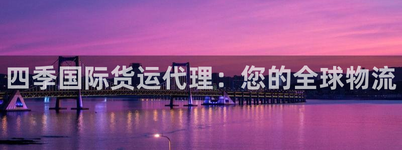 尊龙人生就是博菲律宾台子：四季国际货运代理：您的全球物流