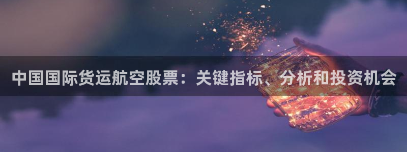 尊龙凯时输了100万：中国国际货运航空股票：关键指标、分