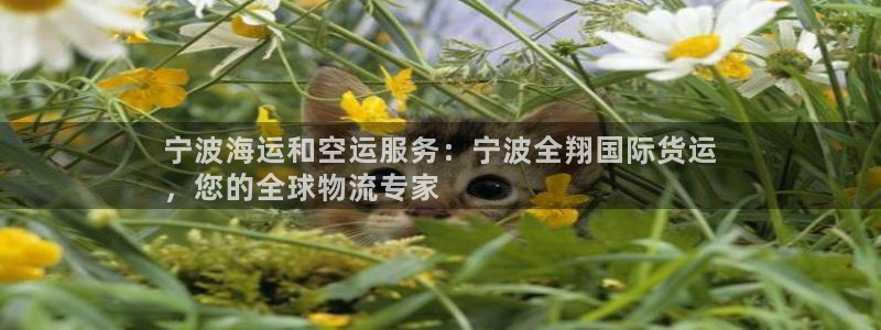 尊龙凯时邀请码：宁波海运和空运服务：宁波全翔国际货运
，