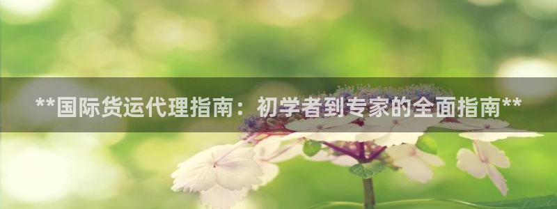 尊龙凯时老板是谁：**国际货运代理指南：初学者到专家的全