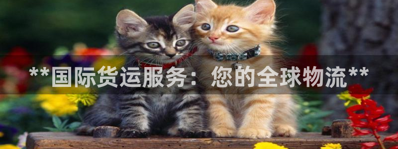 尊龙百度贴吧：**国际货运服务：您的全球物流**