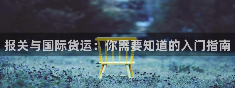 z6尊龙官网平台下载：报关与国际货运：你需要知道的入门指