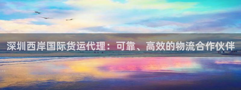 尊龙凯时请求参数不符合：深圳西岸国际货运代理：可靠、高效