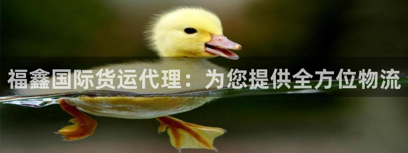 百度一下尊龙：福鑫国际货运代理：为您提供全方位物流