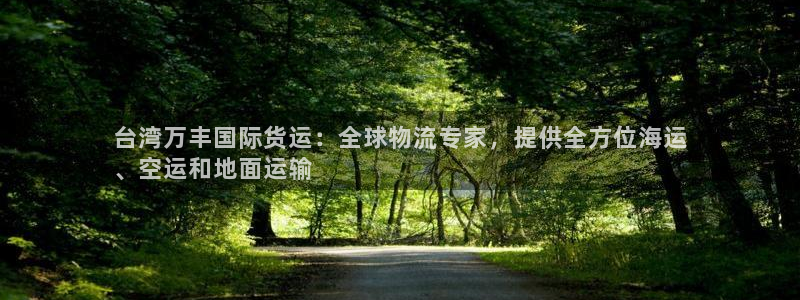 尊龙凯时泰安：台湾万丰国际货运：全球物流专家，提供全方位