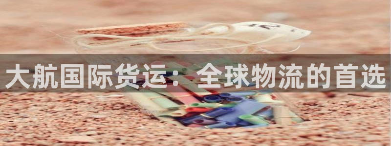 尊龙休闲e站怎么样：大航国际货运：全球物流的首选