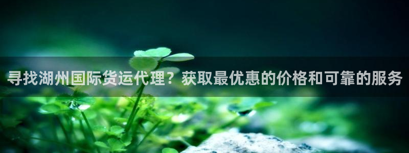 ag旗舰平台尊龙代言：寻找湖州国际货运代理？获取最优惠的