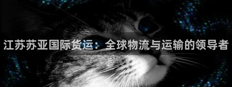 尊龙凯时d5138：江苏苏亚国际货运：全球物流与运输的领