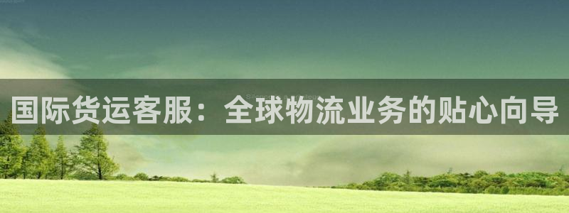 尊龙凯时电竞注册：国际货运客服：全球物流业务的贴心向导