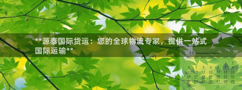 尊龙ag旗舰厅下载：**源泰国际货运：您的全球物流专家，