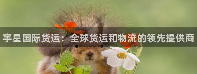 尊龙官网地址：宇星国际货运：全球货运和物流的领先提供商