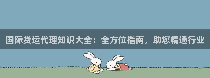 尊龙人生就是博一下阿扎尔：国际货运代理知识大全：全方位指