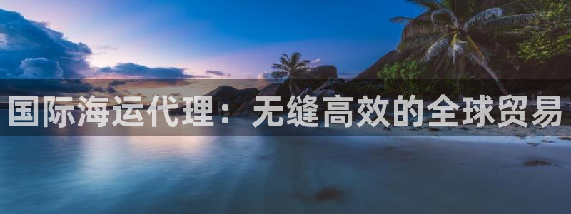 尊龙凯时可以提现吗：国际海运代理：无缝高效的全球贸易