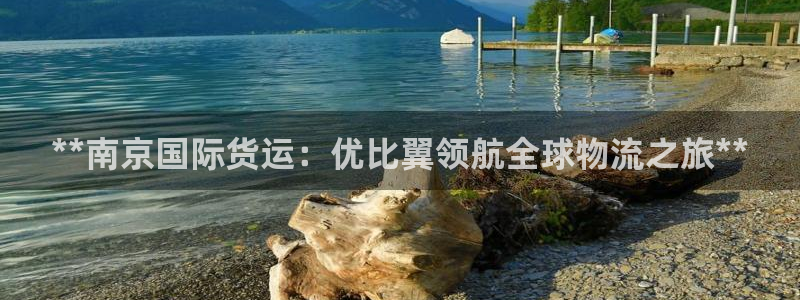 尊龙凯时导航菜单首页：**南京国际货运：优比翼领航全球物