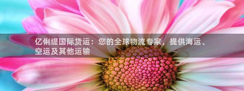 尊龙凯时可以提现吗：亿俐缇国际货运：您的全球物流专家，提