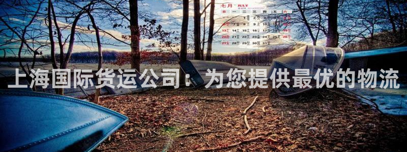 尊龙凯时ag旗舰厅登陆：上海国际货运公司：为您提供最优的