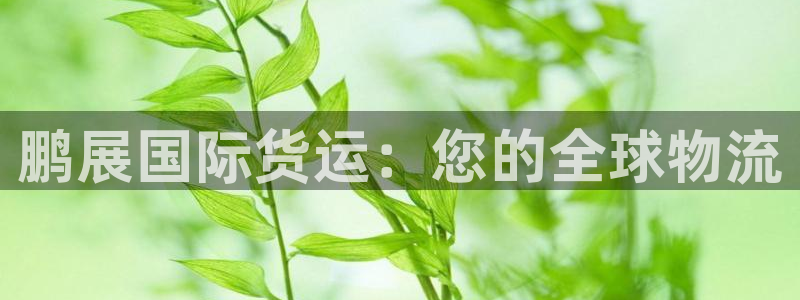 尊龙 国外：鹏展国际货运：您的全球物流