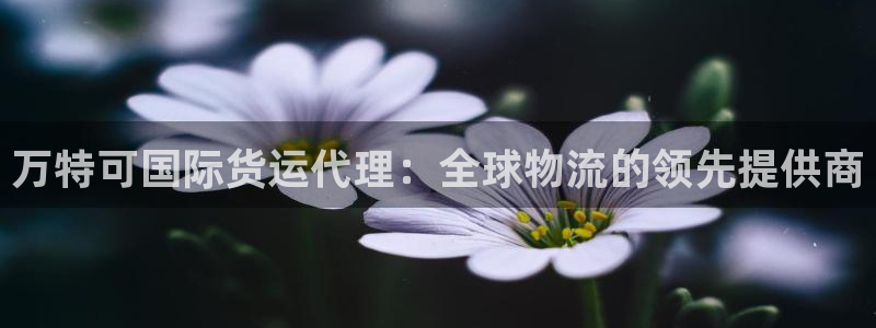 尊龙内地：万特可国际货运代理：全球物流的领先提供商