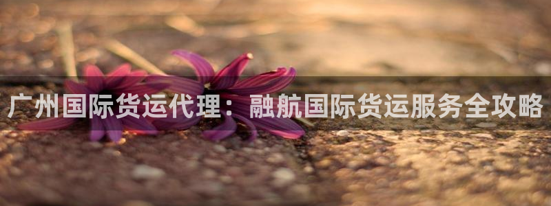 尊龙手机客户端app：广州国际货运代理：融航国际货运服务
