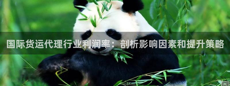 尊龙app最新版本官网：国际货运代理行业利润率：剖析影响