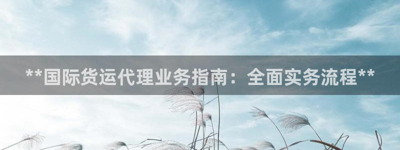 尊龙ag旗舰厅登陆：**国际货运代理业务指南：全面实务流