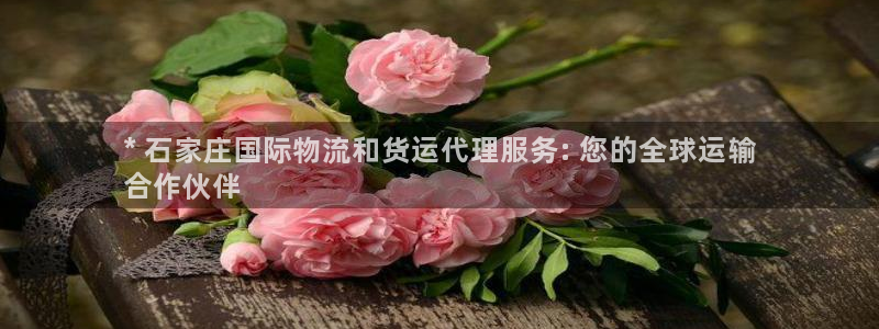 尊龙人生就是博首页：* 石家庄国际物流和货运代理服务: 