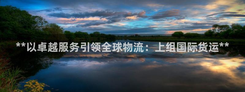 尊龙l1500：**以卓越服务引领全球物流：上组国际货运