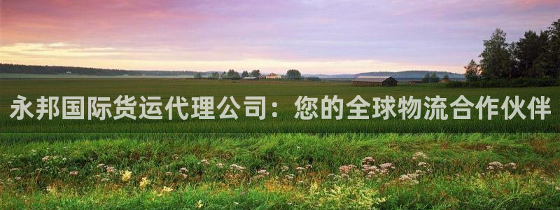 尊龙凯时是不是合法：永邦国际货运代理公司：您的全球物流合