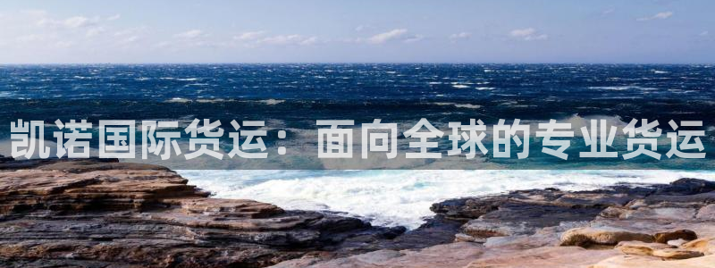 尊龙凯时捕鱼游戏能玩吗：凯诺国际货运：面向全球的专业货运